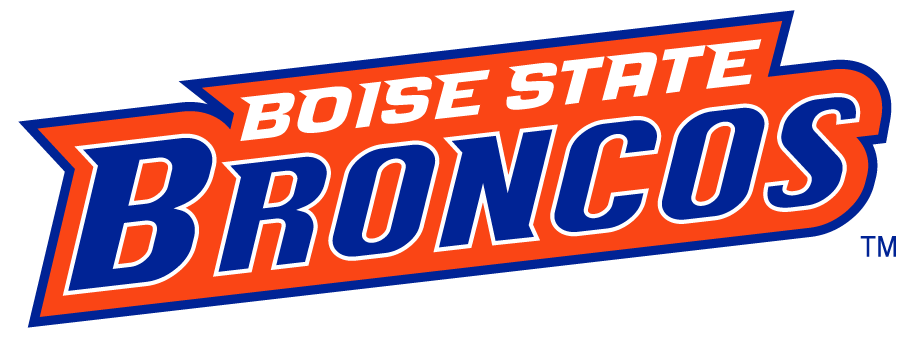 Boise State Broncos 2002-2012 Wordmark Logo v6 diy DTF decal sticker